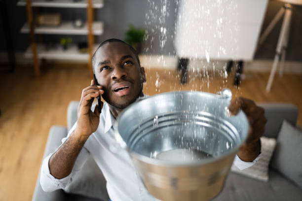 Best Flood damage cleanup  in East Atlantic Beach, NY