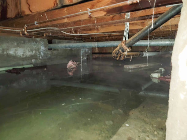 Water damage restoration process in East Atlantic Beach, NY