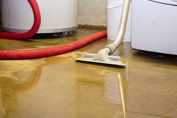 Best Ceiling water damage repair  in East Atlantic Beach, NY